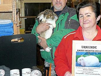 Stolz präsentieren Marion Rothert und Stephan Gageik einige Trophäen, die sie in den vergangenen Jahren für ihre Rassekaninchen Deutsche Kleinwidder und Zwergwidder eingeheimst haben. Stephan Gageik hat eines seiner Prachtexemplare auf dem Arm.  Foto: Klaus-Peter Wulf