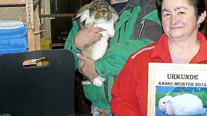 Stolz präsentieren Marion Rothert und Stephan Gageik einige Trophäen, die sie in den vergangenen Jahren für ihre Rassekaninchen Deutsche Kleinwidder und Zwergwidder eingeheimst haben. Stephan Gageik hat eines seiner Prachtexemplare auf dem Arm.  Foto: Klaus-Peter Wulf