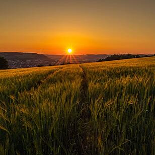 Sonnenaufgang über Hammelburg