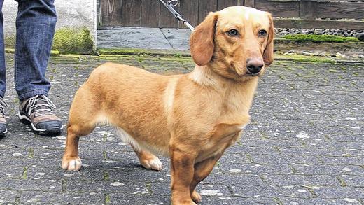 Turbo &ndash; der Name ist Programm