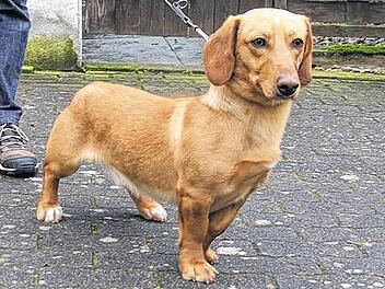 Turbo &ndash; der Name ist Programm