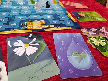 Spiele-Test Dixit: Rezension des fantasievollen Kommunikationsspiels - Spiel des Jahres 2010