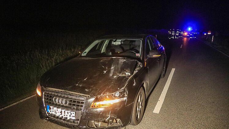 Schock f&uuml;r alle Beteiligten: Pony "Chico" ist am Montagabend  im Landkreis Bamberg ausgerissen und auf die Stra&szlig;e gerannt. Ein Auto erfasste das Tier.
