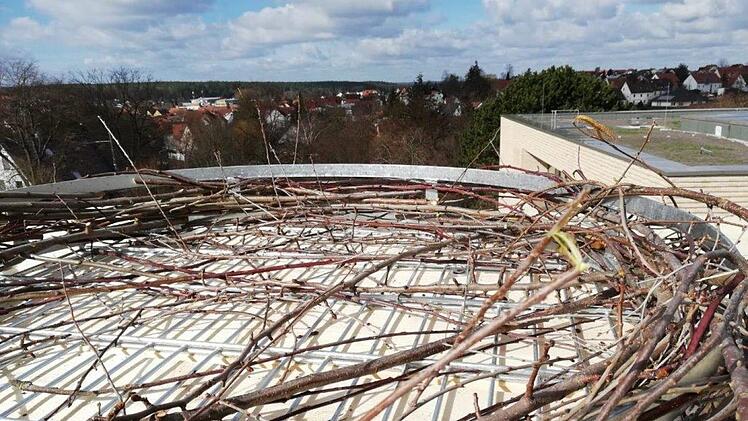 ... und mit Zweigen ausgelegt. Fotos: Zimmerei Popp
