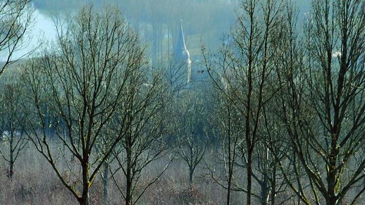Blick von den Eierbergen auf die St.-Andreas-Kirche über eine Fläche der Waldkorporation Wiesen hinweg. Die Art der Waldbewirtschaftung ist in Wiesen seit Jahrhunderten gleich geblieben. Die Lebensbäume bleiben jedoch stehen. Foto: Hubertus Habel
