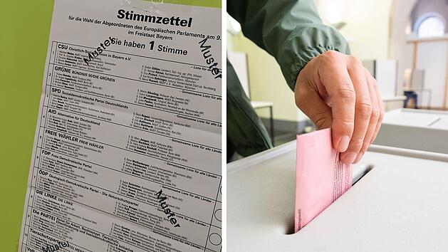 Europawahl 2024: Die Ergebnisse im Landkreis Coburg