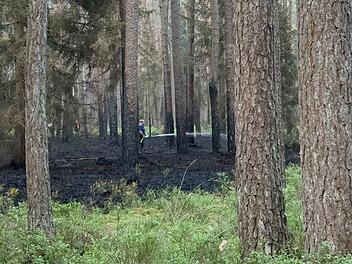 Feuer in Mittelfranken - Abgestelltes Auto verursacht größeren Waldbrand