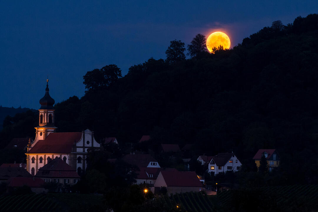 Fotos Konrad Thomann