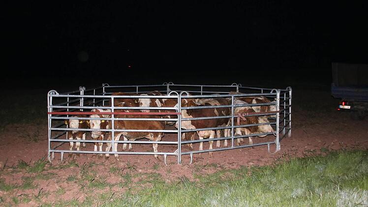 Eindrücke vom Brand in Haard in der Nacht auf Sonntag. Foto: Ralf Ruppert