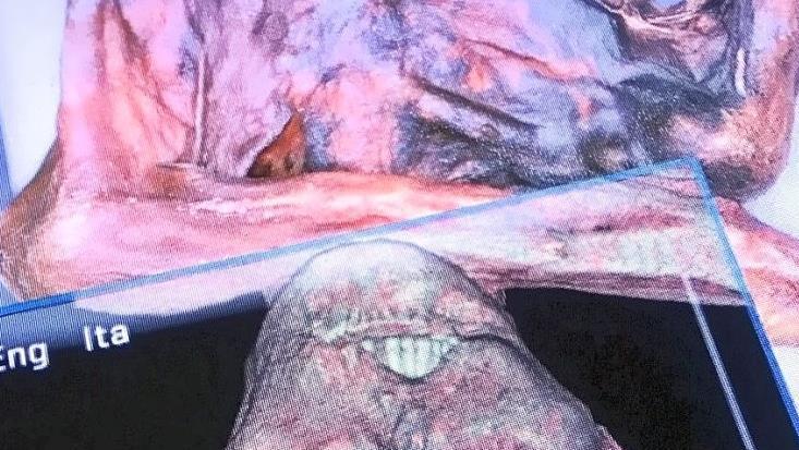 Der Besucher kann an Computern die modernen Methoden der Forschung selber ausprobieren.