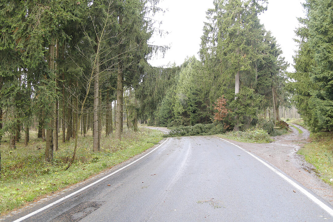 Sturmschäden überall in Franken