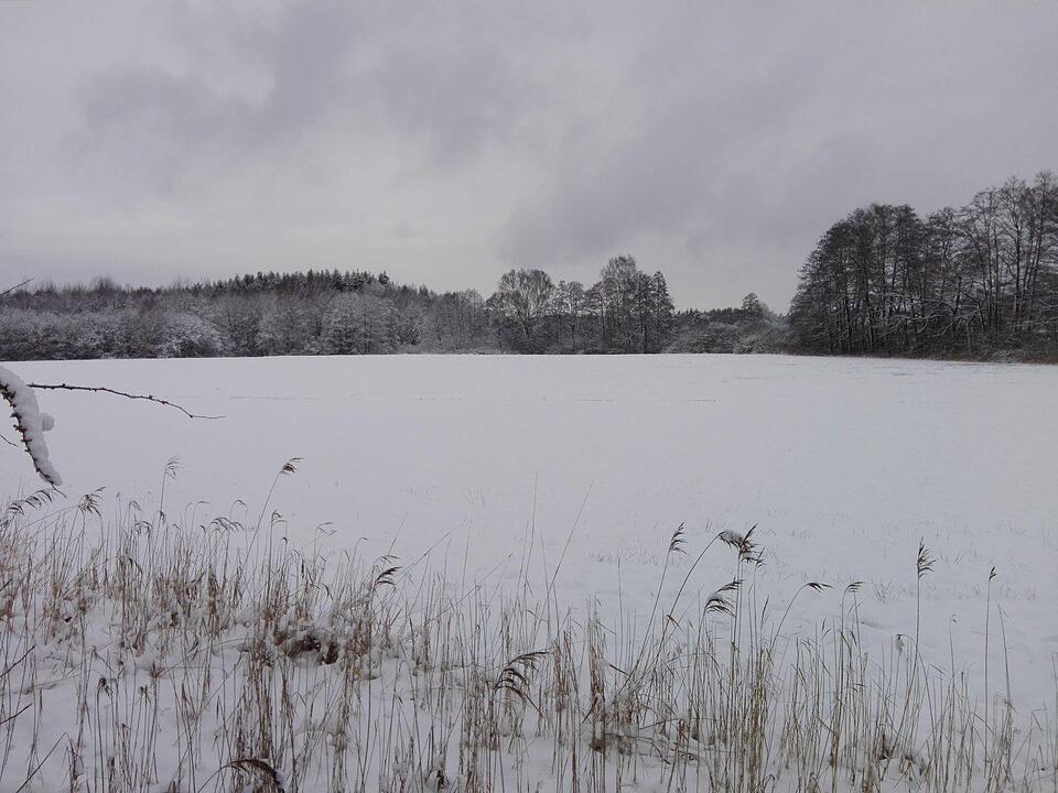 Schnee und Eis - Die schönsten Aufnahmen aus Franken