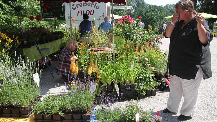 Pfarrerin Heidrun Hemme aus Grafengehaig kam mit dem Fahrrad und bummelte gelassen durch die Schau. Foto: Sonja Adam