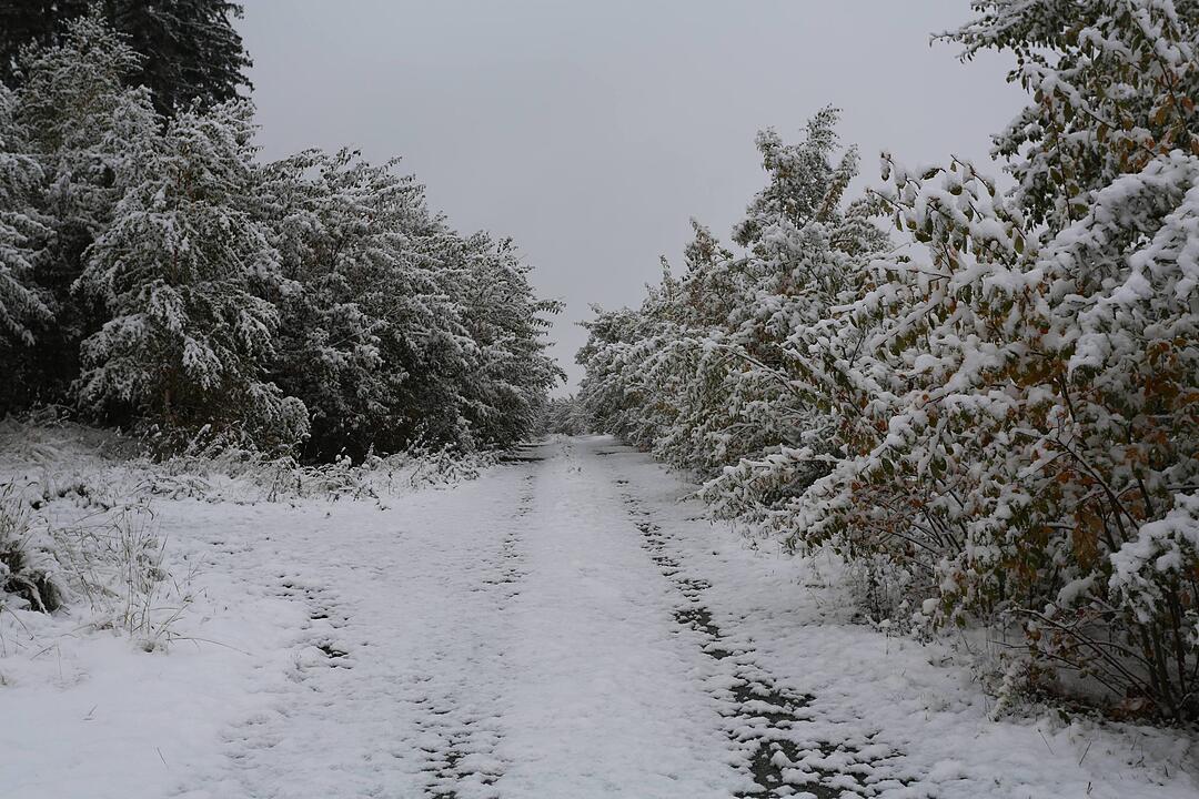 Erster Schneefall in Oberfranken