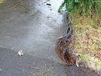 Pferdemist hat den Zulauf der Güllegrube verstopft: Deshalb floss am Mittwoch eine braune Brühe die Straße hinab. Foto: privat