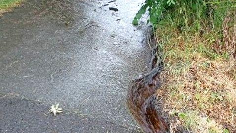 Pferdemist hat den Zulauf der Güllegrube verstopft: Deshalb floss am Mittwoch eine braune Brühe die Straße hinab. Foto: privat