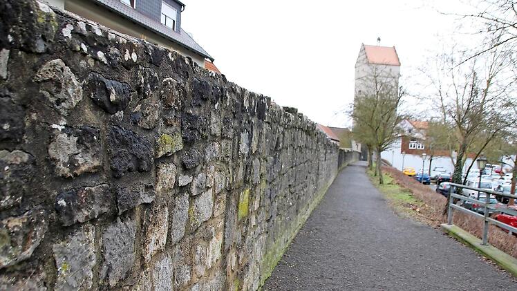 Die Wege entlang der Stadtmauer werden von Hundehaltern gerne genutzt, aber auch von Kindern, die gar nicht gerne in Hundehaufen treten.