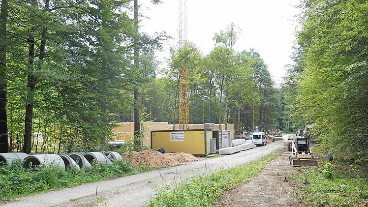 Oberhalb von Ebrach am Radstein laufen die Arbeiten für den Baumwipfelpfad auf Hochtouren. Auch die Marktgemeinde will von der Einrichtung profitieren und überlegt wie. Foto: Walter Hanslok