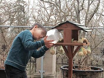 Liebevoll und ganz ernsthaft kümmert sich der syrische Junge um die Winterfütterung der Vögel im Schloss Falkenegg.  Foto: Christiane Lehmann