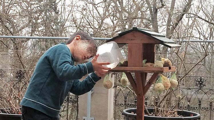 Liebevoll und ganz ernsthaft kümmert sich der syrische Junge um die Winterfütterung der Vögel im Schloss Falkenegg.  Foto: Christiane Lehmann