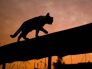 Foto: Julian Stratenschulte/dpa