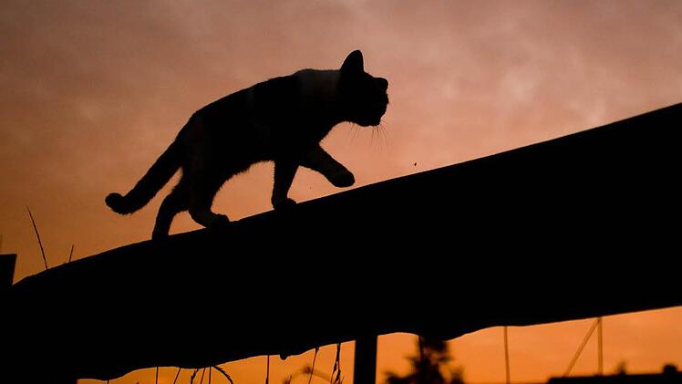 Foto: Julian Stratenschulte/dpa