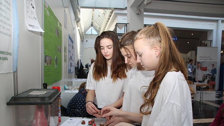 Fliegenabwehr mit Walnuss-Öl: Schülerinnen der Steigerwaldschule in Ebrach zeigen, wie das funktioniert.Foto: Katrin Geyer