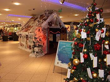 Um zu helfen, nimmt man sich entweder eine Karte vom Baum und bezahlt im Ertl-Zentrum oder man überweist einen Betrag bei der Sparkasse. Foto: Nadine Nüsslein