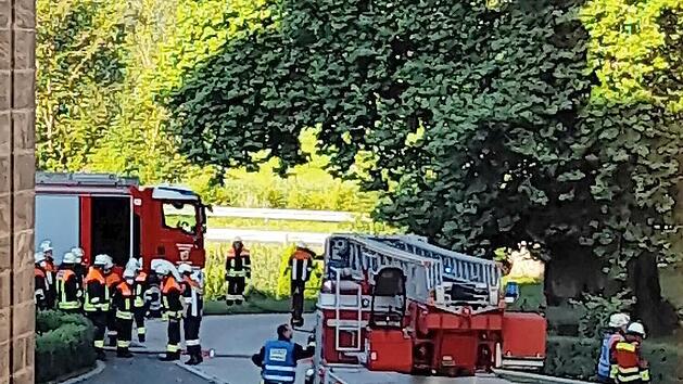 Rund 60 Aktive von sieben Feuerwehren aus den Landkreisen Coburg, Bamberg und Ha&szlig;berge waren am Samstagmorgen in Lahm im Einsatz.