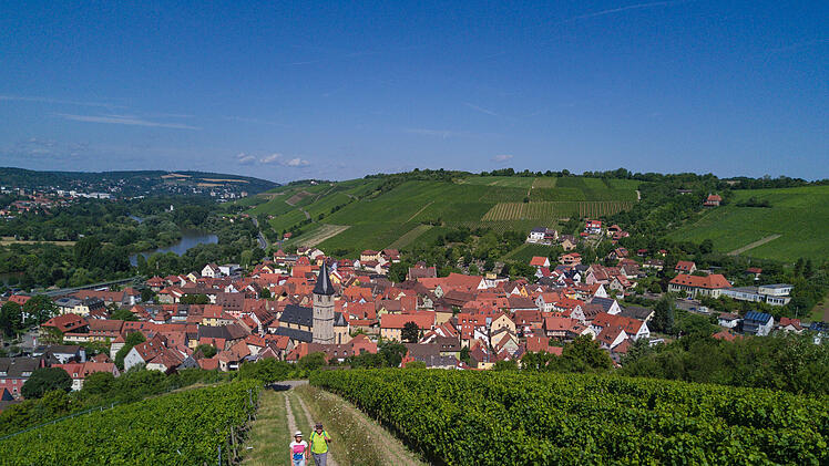 Fränkisches Weinland: Randersacker von oben