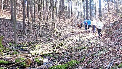 Naturbelassene Landschaft im Guttenberger Wald. Die Gruppe läuft bergauf Richtung Straßenwirtshaus. Foto: Michael Kraus