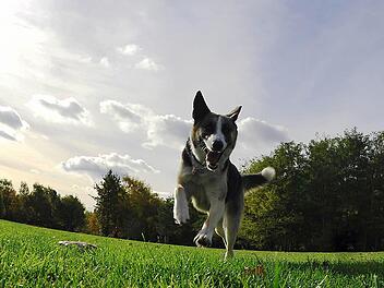 Foto: Paul Zinken/dpa
