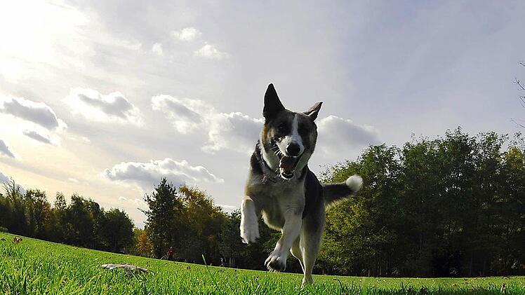 Foto: Paul Zinken/dpa