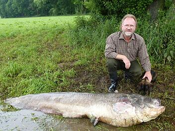 Werner Wagner und der RiesenwallerFoto: privat