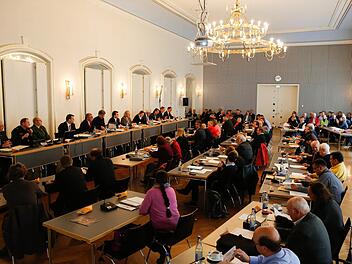 Kurzfristig wurde der Tagesordnungspunkt zur Bildung der neuen Fraktion "Bamberger Allianz" am Mittwoch im Stadtrat Bamberg abgesetzt. Foto: Matthias Hoch