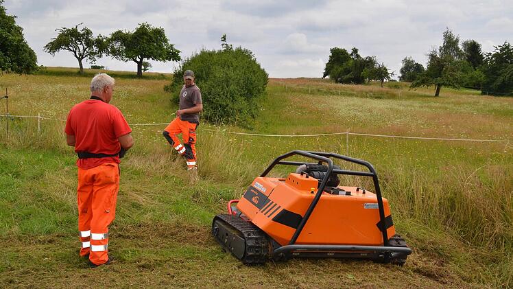 Die neue Mähraupe des Bauhofs wird im Flurstück Brennofen eingesetzt. Sie wird vor allem in unwegsamen Gelände eingesetzt und ferngesteuert. Foto: Kathrin Kupka-Hahn