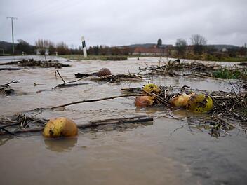 Problemfall: Auch beim Hochwasser vergangene Woche war es der Eggenbach (rechts), der die Kreisstraße CO1 zwischen Lahm und Hemmendorf eher als die Itz überflutete.Foto: Berthold Köhler