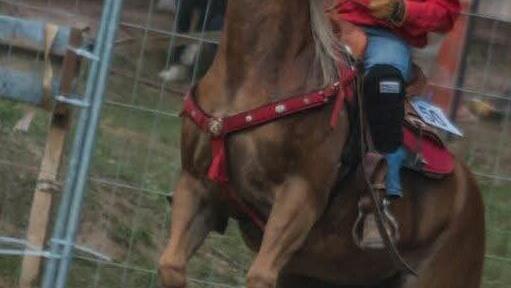Das Pferd kann kaum erwarten, bis es losgeht.Foto: privat