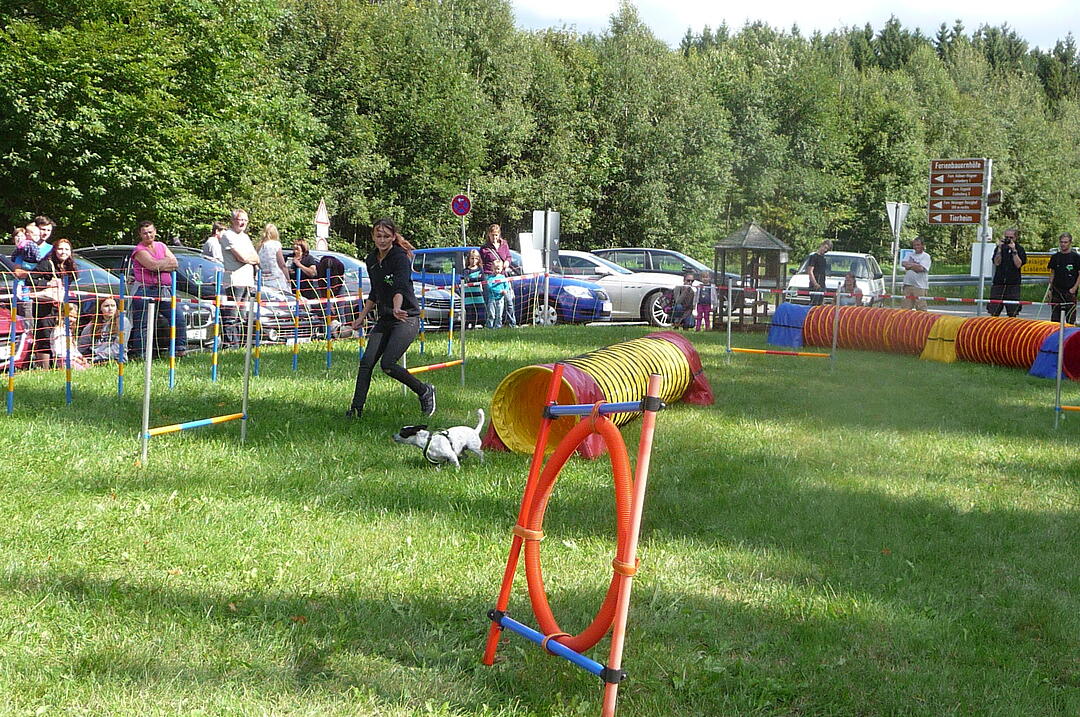 19.8.2017 Tierheimfest Kulmbach