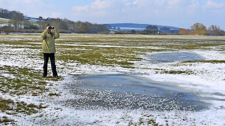 Noch muss Frank Reißenweber mit seinem Fernglas lange suchen, bis er Zugvögel im Itzgrund entdeckt. Doch bald, da ist der Diplom-Biologe überzeugt, wird sich der kältebedingte Stau beim Vogelzug Richtung Nordeuropa auflösen. Foto: Berthold Köhler