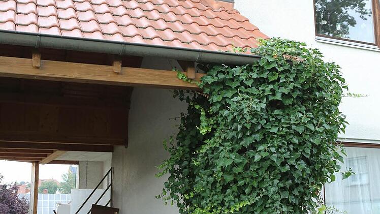 Auch von außen wird das Dach begutachtet.