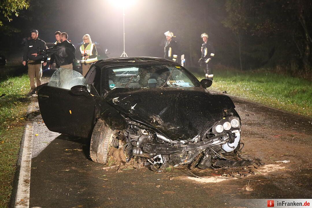 Alfa schleudert im Kreis Hof gegen Bäume