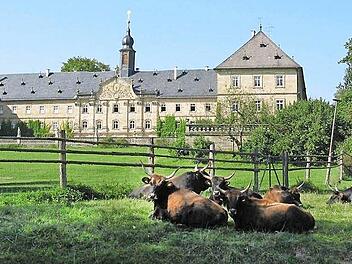 Steht vor dem Aus: der Wildpark Tambach. Im Hintergrund das barocke Schloss. Foto: Archiv/Kathrin Rögner