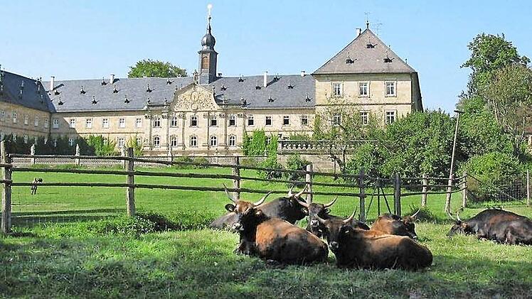 Steht vor dem Aus: der Wildpark Tambach. Im Hintergrund das barocke Schloss. Foto: Archiv/Kathrin Rögner