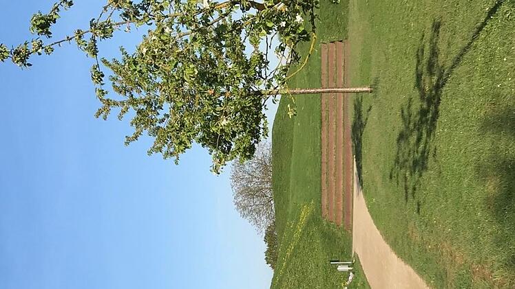 Pappbecher sind noch ein kleines &Uuml;bel.  MW