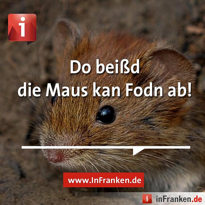 Tag der Muttersprache: Fränkisch zum Teilen