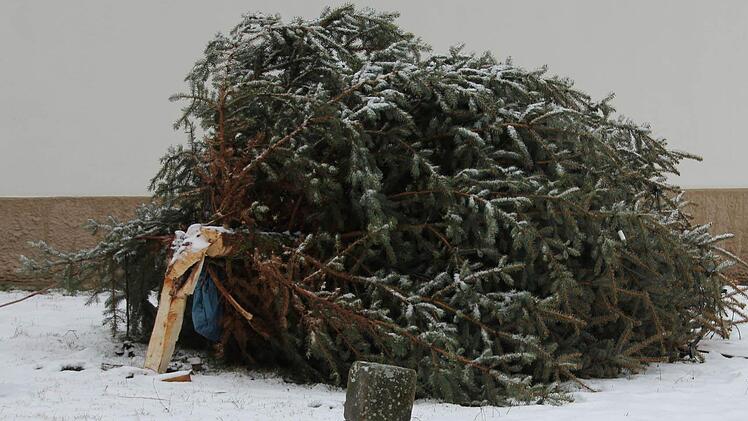 Sturmopfer: Seit Freitag ist der Christbaum vor der Kirche im Eberner Stadtteil Reutersbrunn ganz schön geknickt. Foto: Ralf Kestel