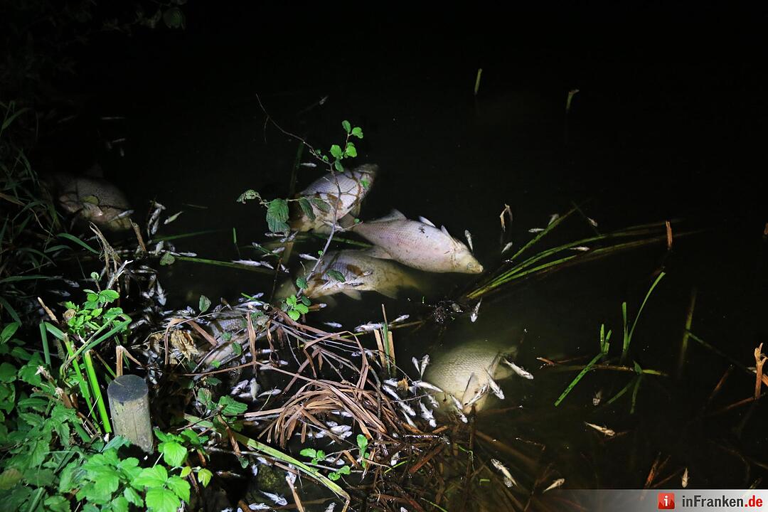 Westsee in Bad Staffelstein umgekippt