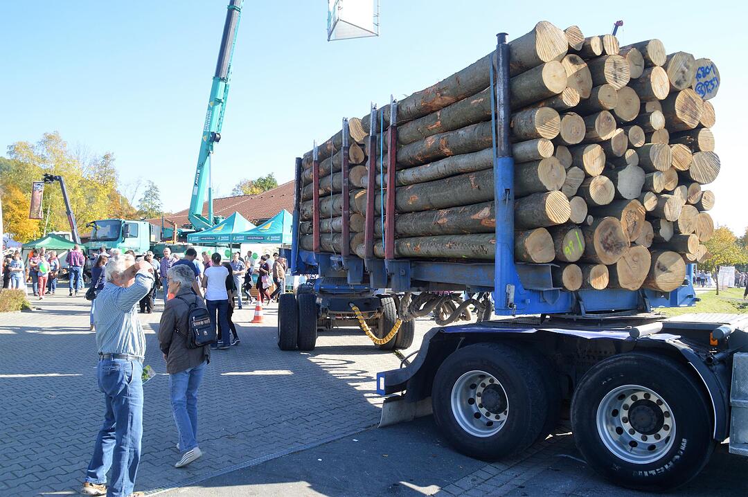 Holztag Scheinfeld 2017