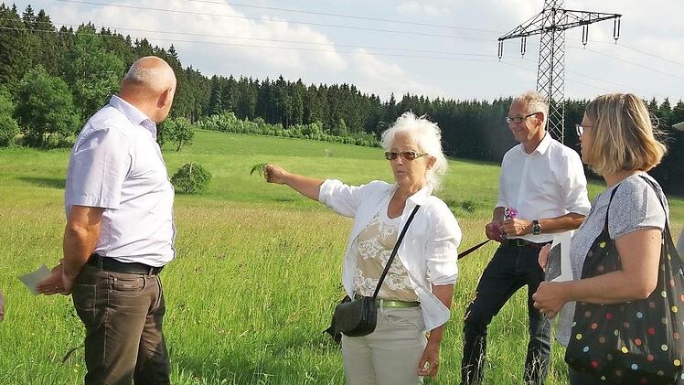 Am Montagnachmittag machten sich interessierte Mitglieder aus den Landkreis-Kommunen bei einer Exkursion ein Bild vom erhaltenswerten Lebensraum für Tiere und Pflanzen. Die Wanderung führte durch einen Wiesengrund im "Dammbach"-Tal, oberhalb von Haßlach bei Teuschnitz. Geleitet wurde diese von Christine Neubauer (Zweite von rechts).